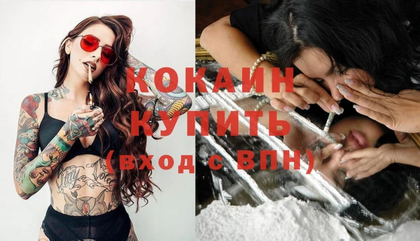 дживик Богданович