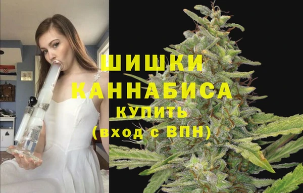 индика Переславль-Залесский