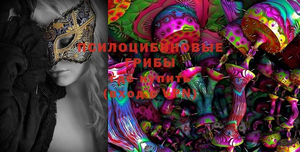 мдпв Белокуриха